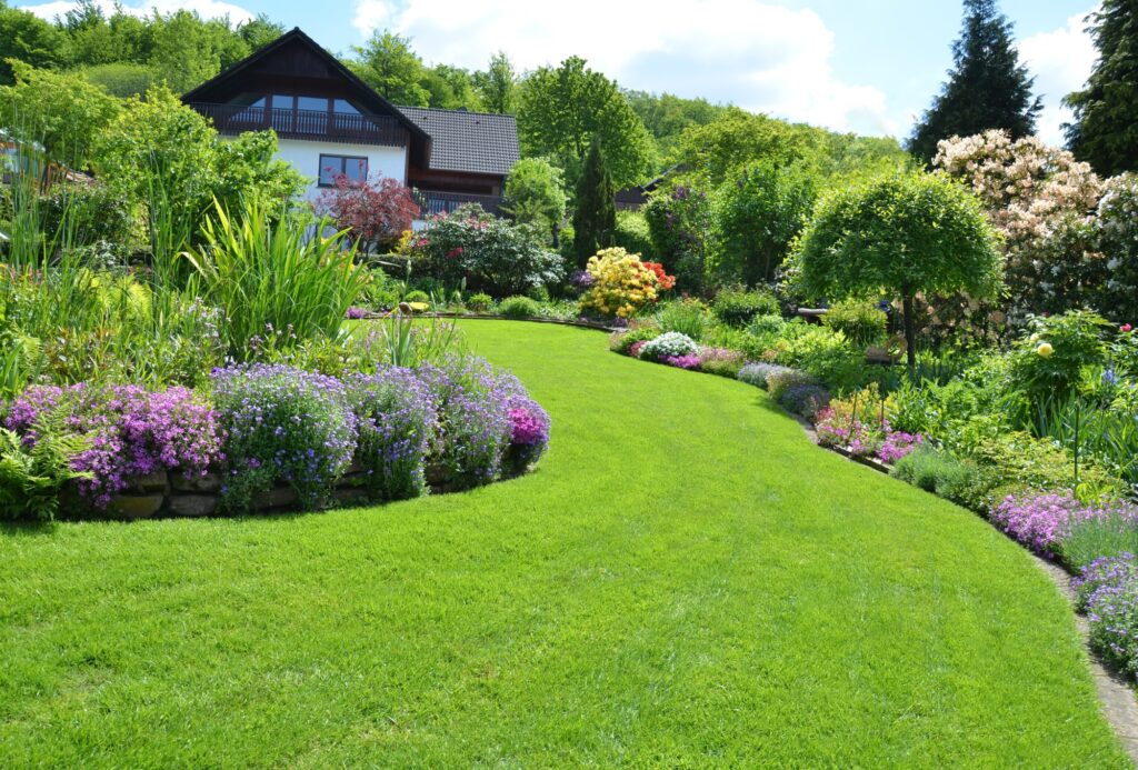 Having a beautiful yard can do wonders for the overall look of your home. Here are five effective tips on how to get a green lawn.