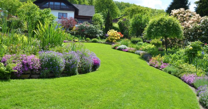 Having a beautiful yard can do wonders for the overall look of your home. Here are five effective tips on how to get a green lawn.