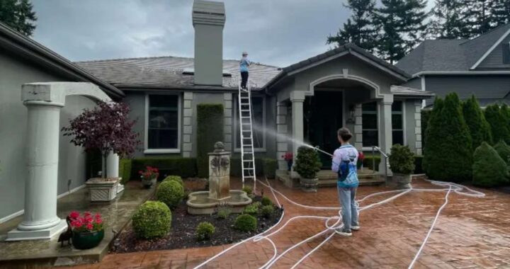 Roof Cleaning for Your Home Value