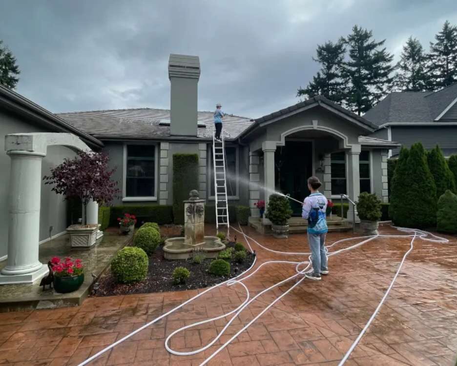 Roof Cleaning for Your Home Value