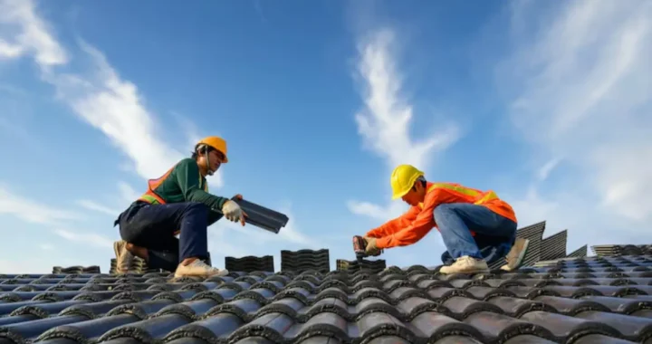 Roof Restoration Options