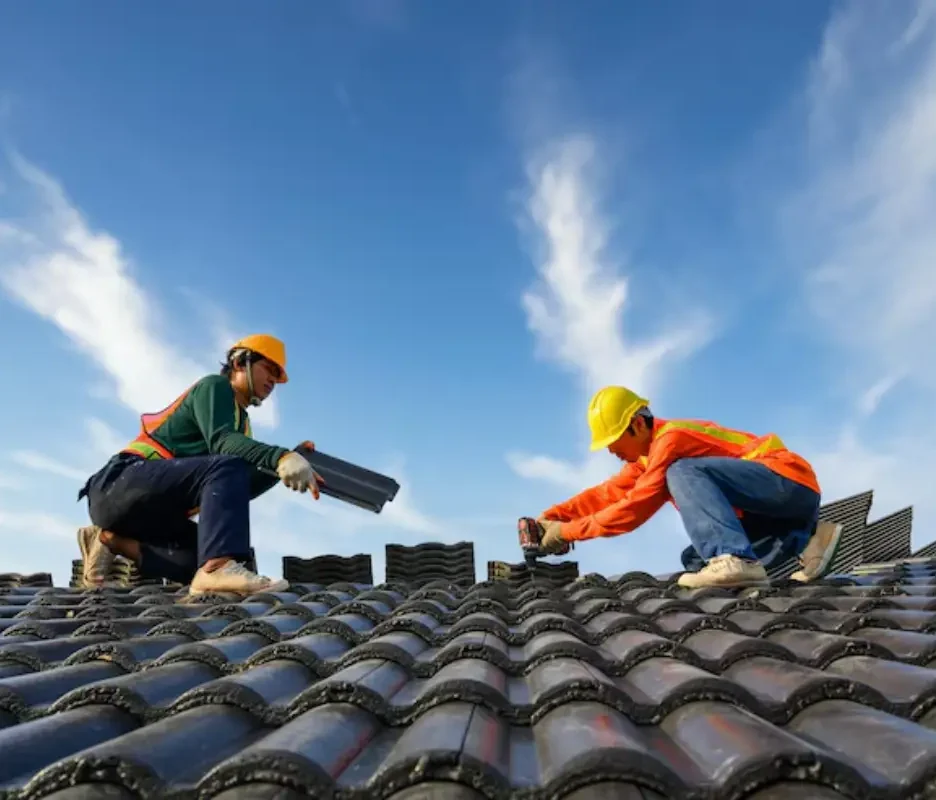 Roof Restoration Options